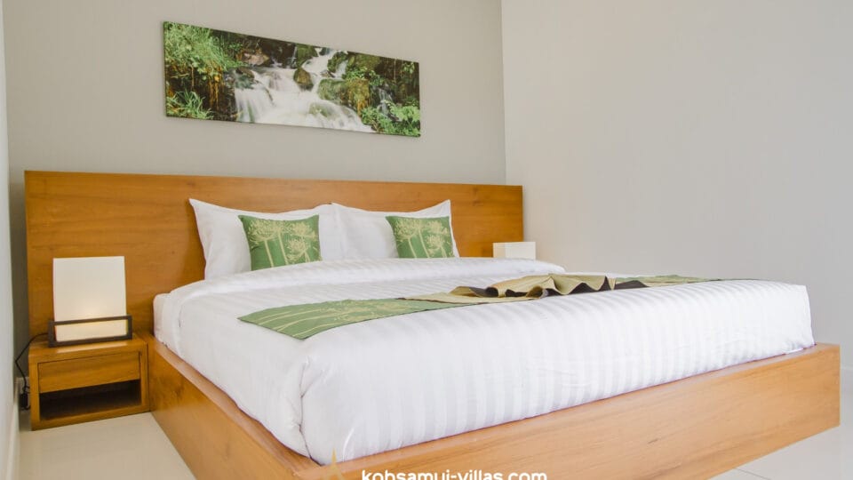 ChoengMon Condo (1)