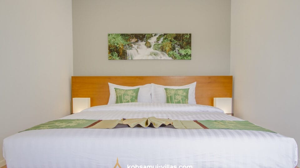 ChoengMon Condo (2)